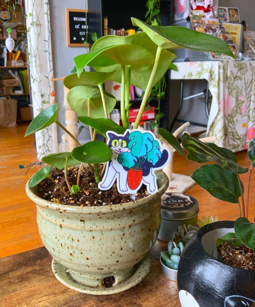 Planter Buddies | Plant Stakes